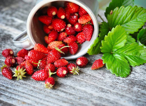 STRAWBERRY SEEDS