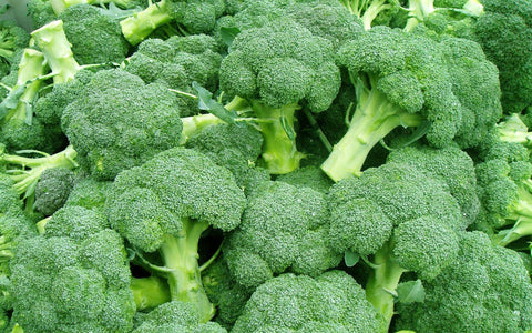 BROCCOLI SEEDS