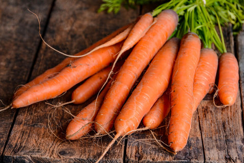 CARROT SEEDS