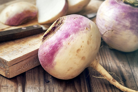 TURNIP SEEDS