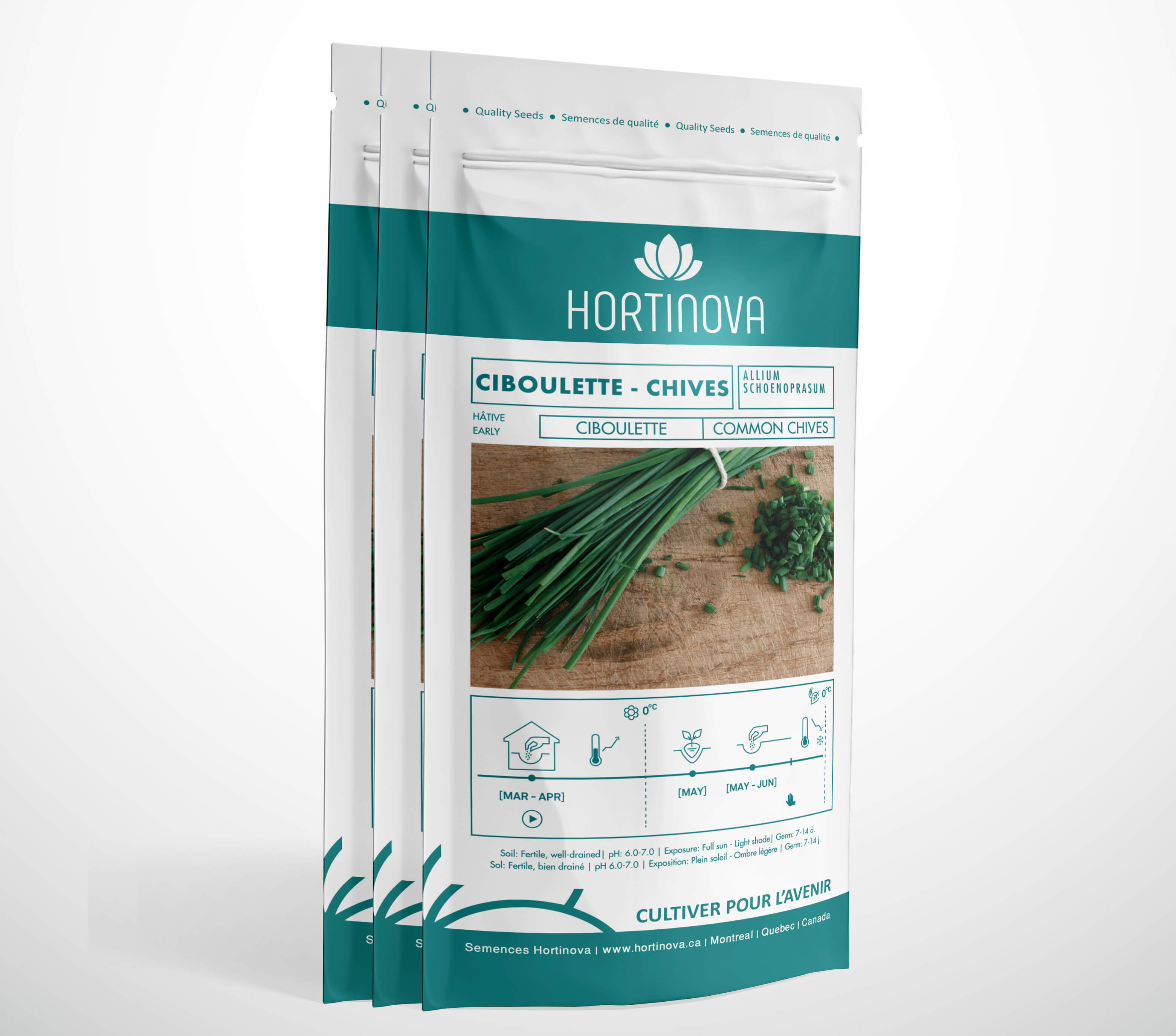 CHIVE - Open Pollinated Chives Seeds – HORTINOVA Inc.