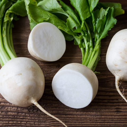 SNOWBALL - Open Pollinated Turnip seeds