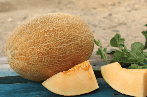 NOVA 1019 (Ananas Melon)