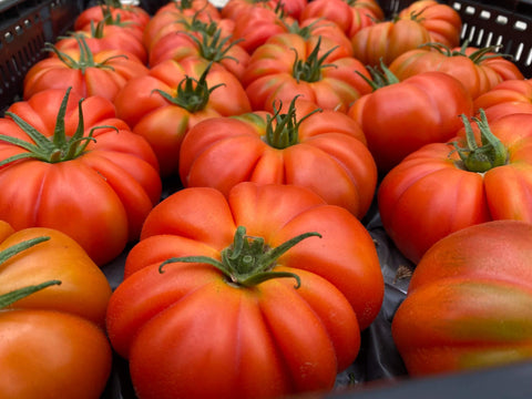 NOVA 2002 (Red Marmande)