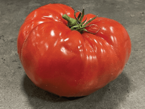 NOVA 2020 (Red Marmande)