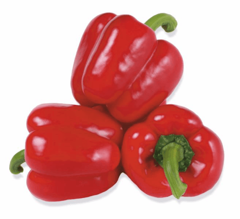 NOVA 320 (Bell Pepper)