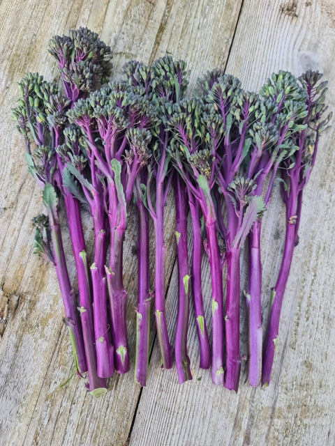 PURPLELICIOUS F1 - Compact Broccoli Hybrid with Colorful Purple Stems