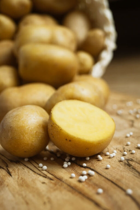SUNBITE F1 - Baby Potato (True Seed)