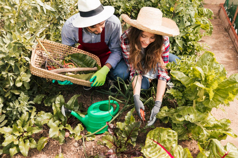 Au fil des souvenirs qui fleurissent, nous cultivons l’avenir.