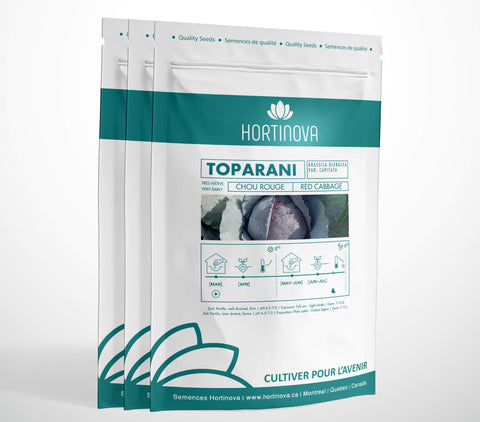 TOPARANI High Quality Red Cabbage Seeds for Gardening and Farming