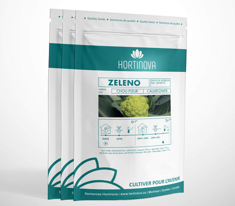 Cauliflower - ZELENO - Hortinova Seeds