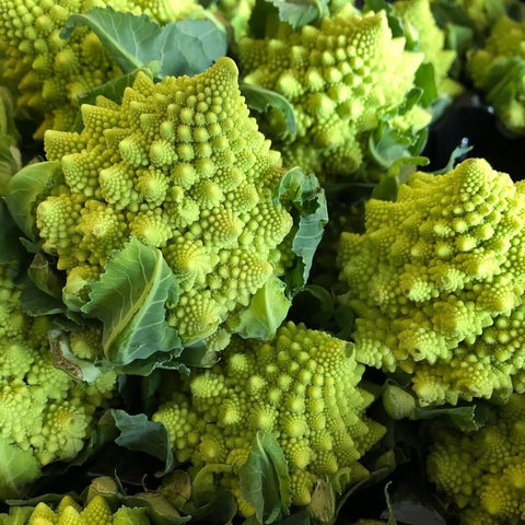 ROMANESCO Open Pollinated Gardening Cauliflower Seeds