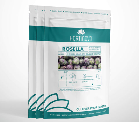 ROSELLA High Quality Brussels Sprouts Seed Package for Gardening