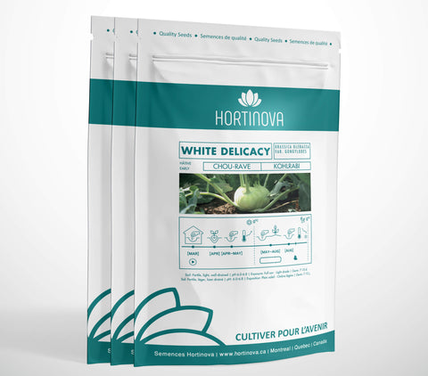 WHITE DELICACY High Quality Kohlrabi Seed Package for Gardening and Farming