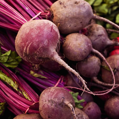 Open Pollinated Gardening Beet Seeds