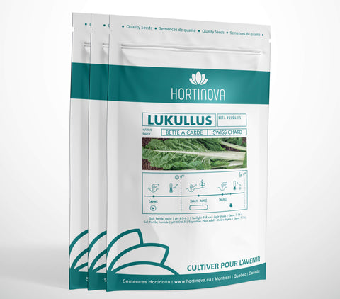 LUKULUS High Quality Swiss Chard Seed Package for Gardening and Farming
