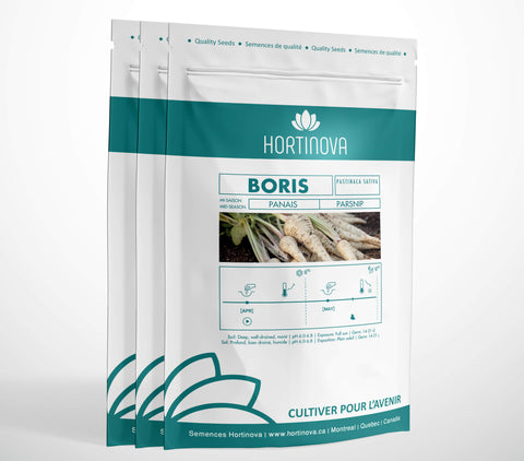 BORIS High Quality Parsnip Seed Package for Gardening and Farming