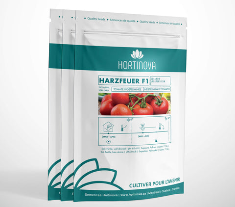 HARZFEUER F1 High Quality Hybrid Round Tomato Seed Package for Gardening and Farming