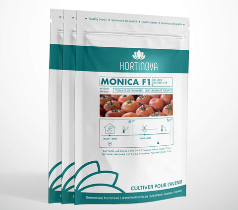 MONICA F1 High Quality Tomato Seed Package for Gardening and Farming.