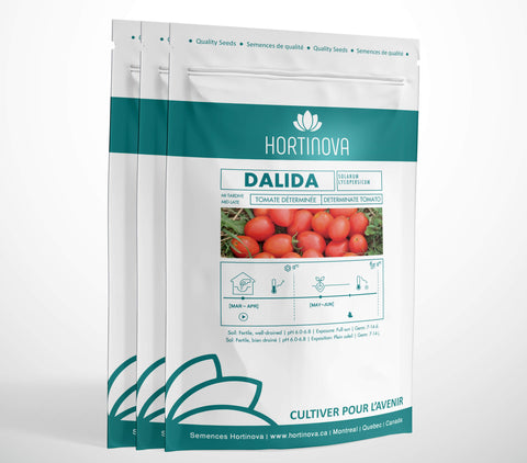 DALIDA High Quality Tomato Seed Package for Gardening and Farming