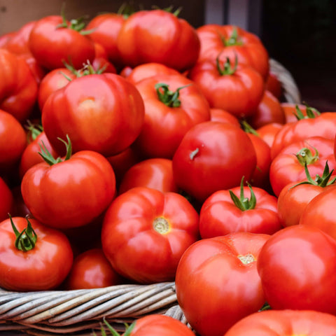 IGRANDA Open Pollinated Gardening and Farming Tomato Seeds
