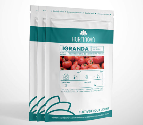 IGRANDA High Quality Tomato Seed Package for Gardening and Farming
