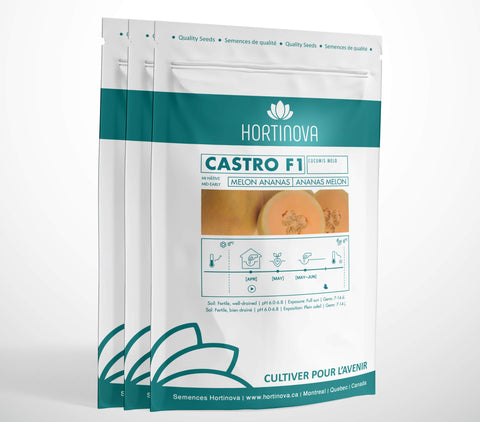 CASTRO F1 High Quality Cantaloupe Melon Seed Package for Gardening and Farming