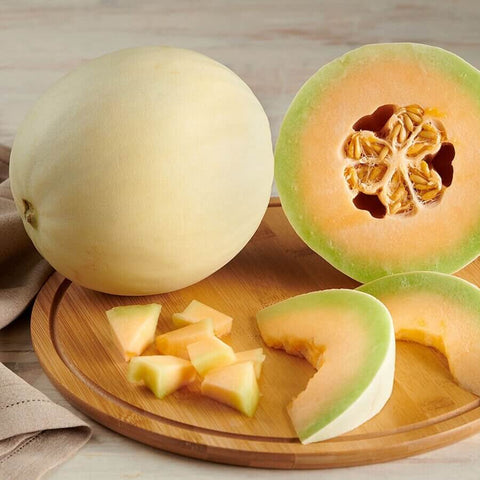 HONEY MONEY F1 Hybrid Honeydew Melon Seeds for Gardening and Farming