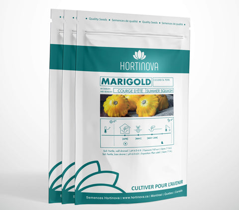 MARIGOLD High Quality Hybrid Squash Seed Package for Gardening and Farming