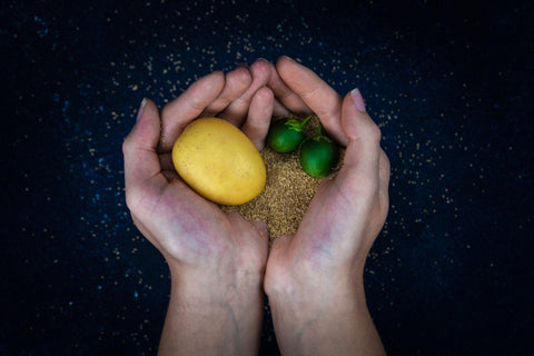 TRUE POTATO SEEDS
