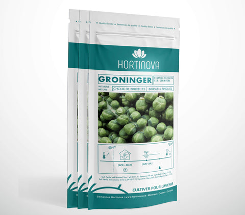 GRONINGER - Semences Ancestrales de Choux de Bruxelles à Pollinisation Libre