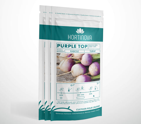 PURPLE TOP - Semences de Rabiole à Pollinisation Libre
