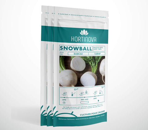 SNOWBALL - Semences de rabiole à pollinisation libre 