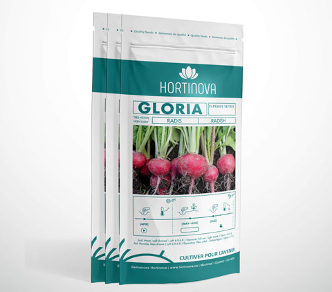 GLORIA - Semences de Radis à Pollinisation Libre
