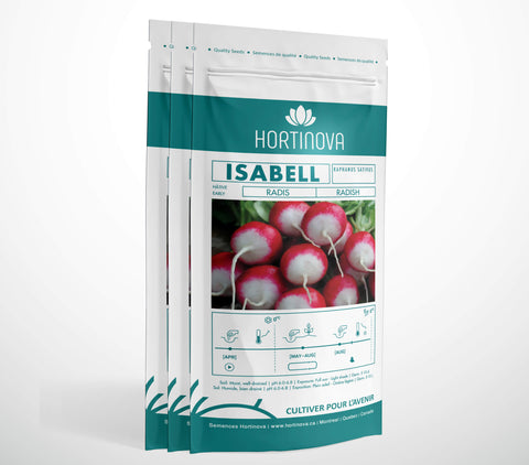 ISABELL - Semences de Radis à Pollinisation Libre