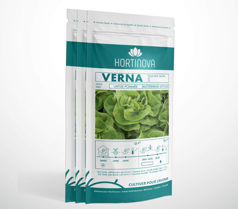 VERNA - Semences de Laitue Pommée à Pollinisation Libre