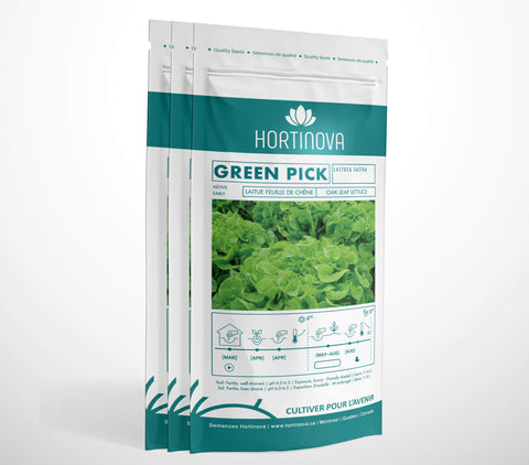 GREEN PICK - Semences de Laitue Feuille de Chêne à Pollinisation Libre