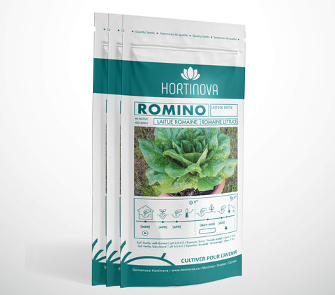 ROMINO - Semences de Laitue Romaine à Pollinisation Libre
