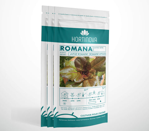 ROMANA - Semences de Laitue Romaine à Pollinisation Libre