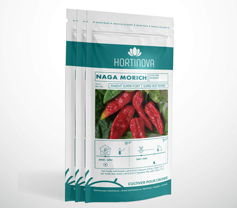 NAGA MORICH - Semences de piment fort à pollinisation libre
