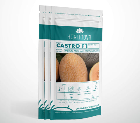 CASTRO F1 (Melon Ananas)