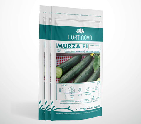 MURZA F1 - Semences de Concombre Hybrides