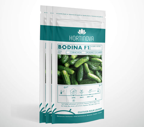 BODINA F1 - Semences de Concombre Hybrides