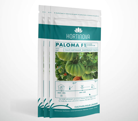 PALOMA F1 (Coeur de Boeuf)