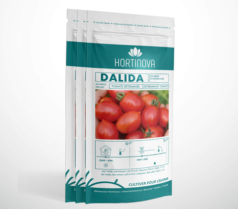 DALIDA - Semences de Tomate de Plein Champ à Pollinisation Libre
