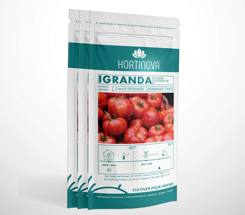 IGRANDA - Semences de Tomates de Plein Champ à Pollinisation Libre