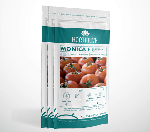 MONICA F1 - Semences de Tomates de Plein Champ Hybrides