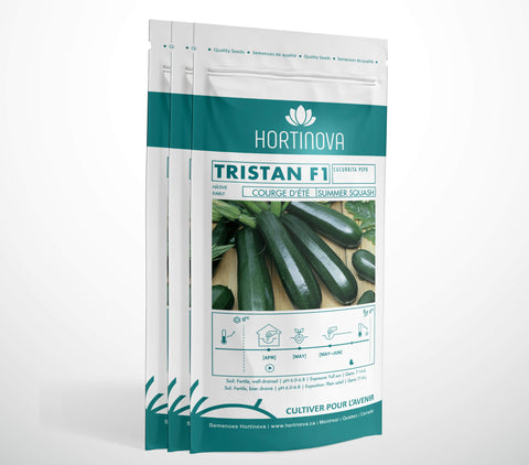 TRISTAN F1 - Semences de Courge d'Été Hybrides