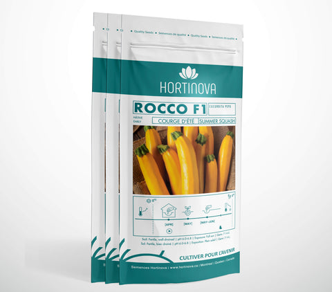 ROCCO F1 - Semences de Courge d'Été Hybrides