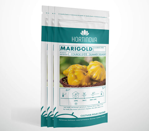 MARIGOLD - Semences de Courge d'Été à Pollinisation Libre